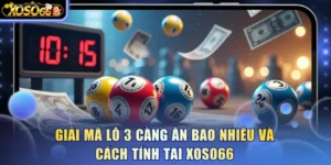 lo-3-cang-an-bao-nhieu