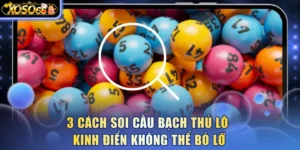 soi-cau-bach-thu-lo